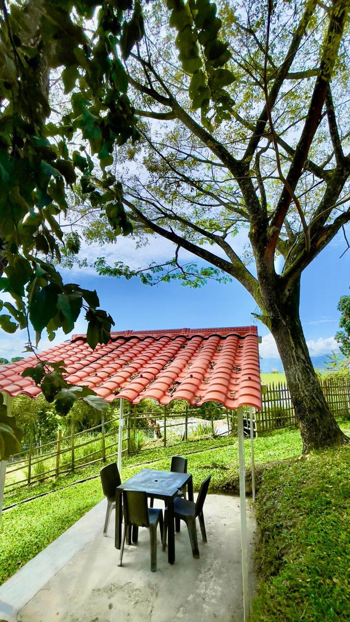 Loto Del Viento Otel Cartago Dış mekan fotoğraf